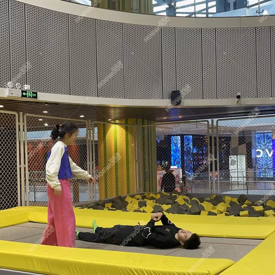 Professioneller Fabrikhersteller Hochwertiges Indoor-Spielplatz-Vergnügungspark-Sprungtrampolin